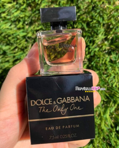 Nước hoa mini Dolce & Gabbana the one
