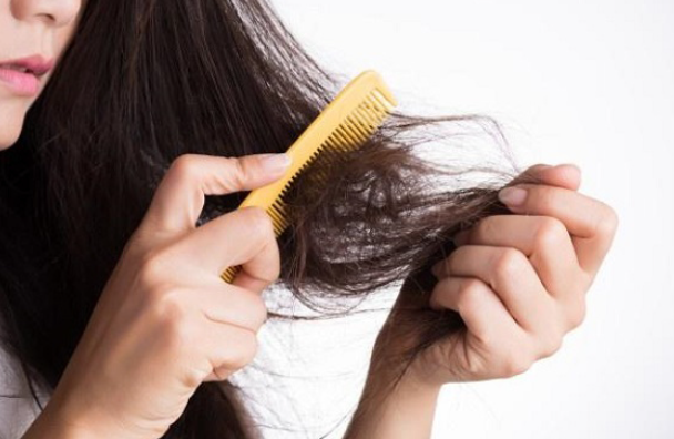 Trị rụng tóc hiệu quả tại nhà